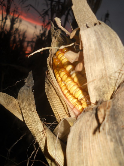 3. Bosko Andjelic 3. mesto